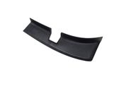 Rear/tail light trim molding