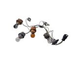 Rear tail light wiring loom