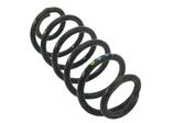 Front coil spring