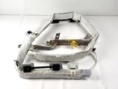 Roof airbag