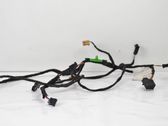 Rear door wiring loom