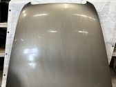Engine bonnet/hood