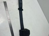 Rear seatbelt