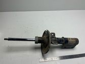 Front shock absorber/damper