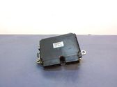 Engine control unit/module ECU