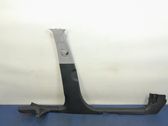 Other sill/pillar trim element