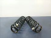 Rear coil spring