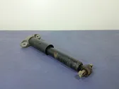 Rear shock absorber/damper