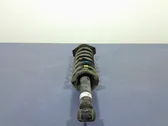 Rear shock absorber with coil spring