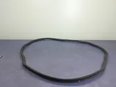 Trunk rubber seal (body)