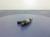 Injecteur de carburant