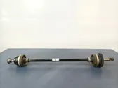 Rear shock absorber with coil spring