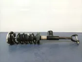 Front shock absorber with coil spring