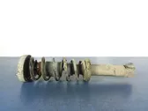 Rear shock absorber/damper