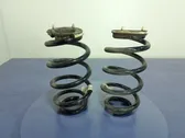 Rear coil spring