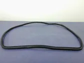 Front door rubber seal