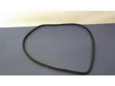 Front door rubber seal