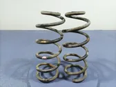 Rear coil spring