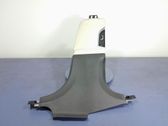 Other sill/pillar trim element