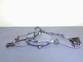 Other wiring loom
