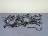 Other wiring loom