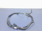 Other wiring loom