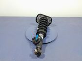 Rear shock absorber/damper