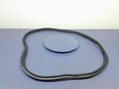 Front door rubber seal
