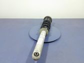Rear shock absorber/damper