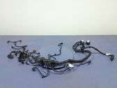 Other wiring loom