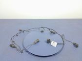Other wiring loom