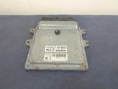 Engine control unit/module ECU