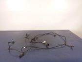 Other wiring loom