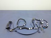 Other wiring loom