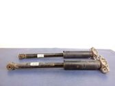 Stoßdämpfer hinten