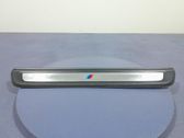 Other sill/pillar trim element