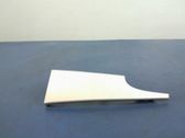 Verkleidung Schweller hinten