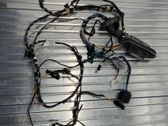 Front door wiring loom