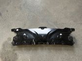 Radiator trim