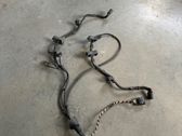 Other wiring loom