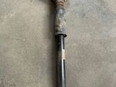 Rear shock absorber with coil spring