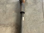 Rear shock absorber with coil spring