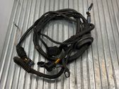 Other wiring loom