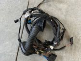 Front door wiring loom