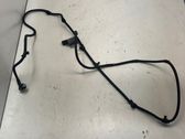 Other wiring loom