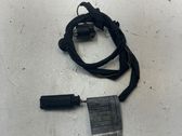 Other wiring loom