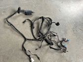 Front door wiring loom