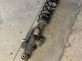 Rear shock absorber/damper