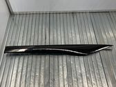 Other rear door trim element