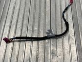 Other wiring loom